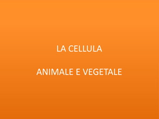 LA CELLULA
ANIMALE E VEGETALE
 