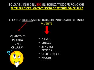 SOLO AGLI INIZI DELL’800 GLI SCIENZIATI SCOPRIRONO CHE
TUTTI GLI ESSERI VIVENTI SONO COSTITUITI DA CELLULE
E’ LA PIU’ PICCOLA STRUTTURA CHE PUO’ ESSERE DEFINITA
VIVENTE
• NASCE
• CRESCE
• SI NUTRE
• RESPIRA
• SI RIPRODUCE
• MUORE
QUANTO E’
PICCOLA
UNA
CELLULA?
 