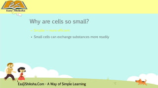 Why are cells so small? 
 Smaller = more efficient 
 Small cells can exchange substances more readily 
EasyShiksha.Com - A Way of Simple Learning 
 