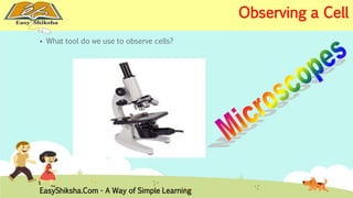  What tool do we use to observe cells? 
EasyShiksha.Com - A Way of Simple Learning 
Observing a Cell 
 