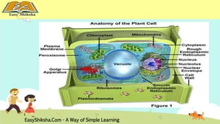 EasyShiksha.Com - A Way of Simple Learning 
