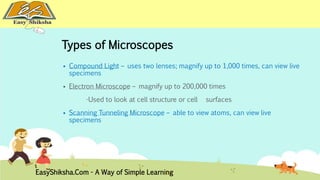 Types of Microscopes 
 Compound Light – uses two lenses; magnify up to 1,000 times, can view live 
specimens 
 Electron Microscope – magnify up to 200,000 times 
-Used to look at cell structure or cell surfaces 
 Scanning Tunneling Microscope – able to view atoms, can view live 
specimens 
EasyShiksha.Com - A Way of Simple Learning 
 