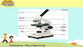 EasyShiksha.Com - A Way of Simple Learning 
 