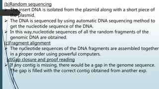 Identification Technique for Gene | PPTX