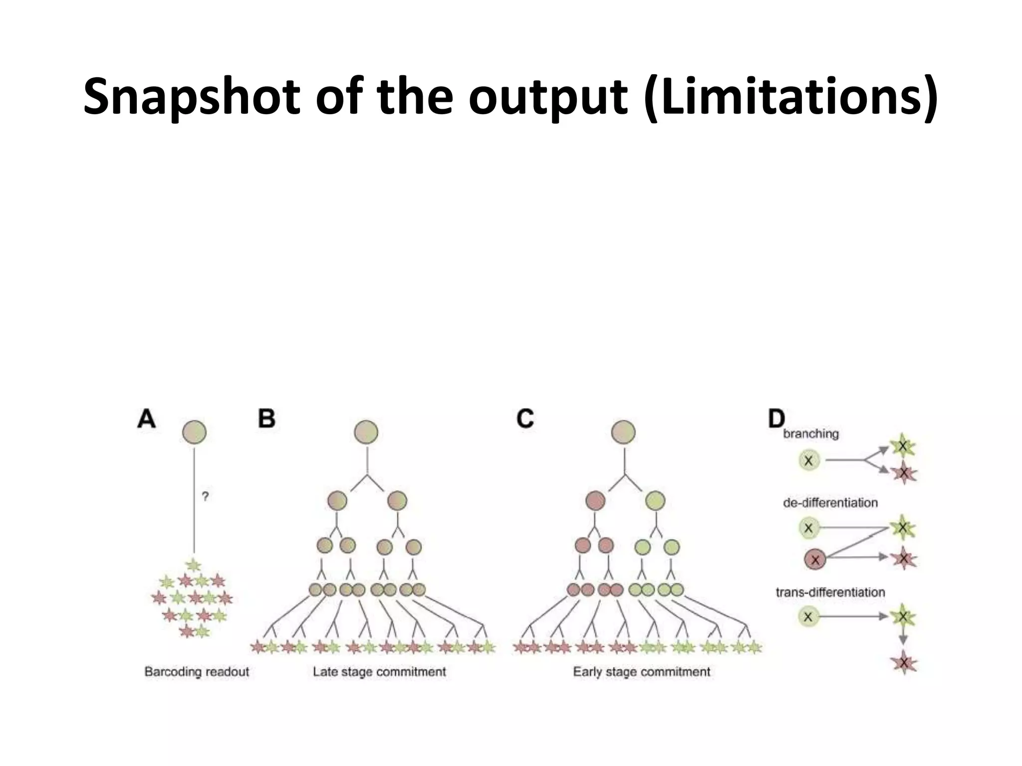 Cellular barcoding’ in hematopoiesis | PPTX