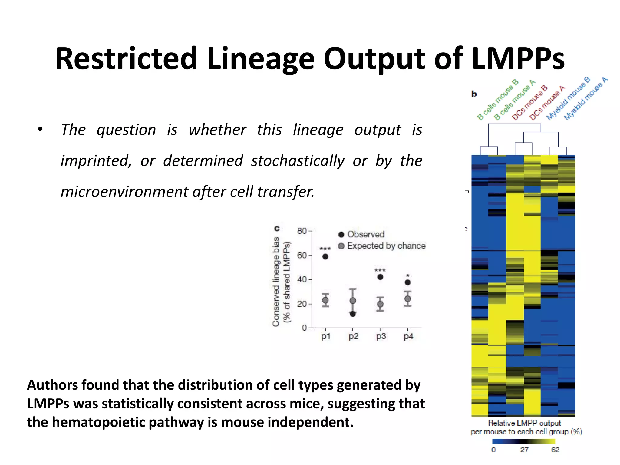 Cellular barcoding’ in hematopoiesis | PPTX