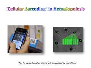 Cellular barcoding’ in hematopoiesis | PPTX