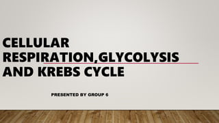 CELLULAR
RESPIRATION,GLYCOLYSIS
AND KREBS CYCLE
PRESENTED BY GROUP 6
 