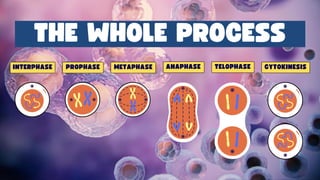 CELLULAR-REPRODUCTION (1).pdfnnjjjjjjjkkkmkmmmmmmmjj | PDF