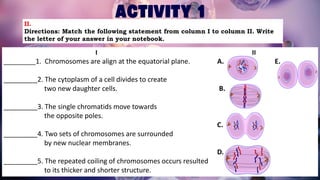 CELLULAR-REPRODUCTION (1).pdfnnjjjjjjjkkkmkmmmmmmmjj | PDF