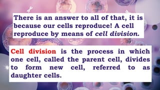 CELLULAR-REPRODUCTION (1).pdfnnjjjjjjjkkkmkmmmmmmmjj | PDF