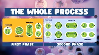 CELLULAR-REPRODUCTION (1).pdfnnjjjjjjjkkkmkmmmmmmmjj | PDF