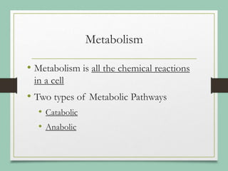 Metabolism
• Metabolism is all the chemical reactions
in a cell
• Two types of Metabolic Pathways
• Catabolic
• Anabolic
 