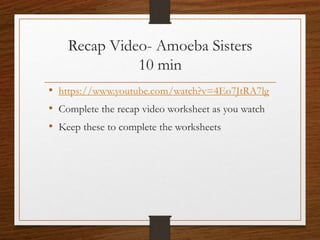 Recap Video- Amoeba Sisters
10 min
• https://www.youtube.com/watch?v=4Eo7JtRA7lg
• Complete the recap video worksheet as you watch
• Keep these to complete the worksheets
 