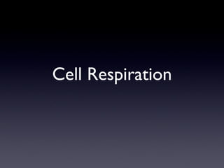 Cell Respiration 