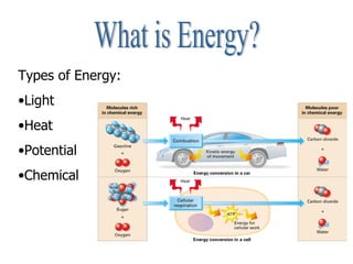 What is Energy? Types of Energy: Light  Heat Potential Chemical 