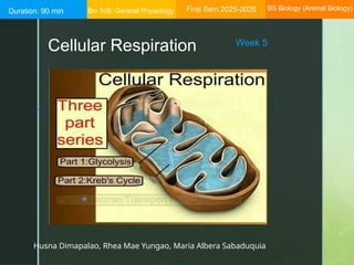 Cellular-Respiration-PowerPoint Presentation | PPTX