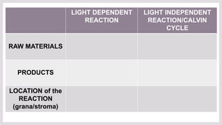 LIGHT DEPENDENT
REACTION
LIGHT INDEPENDENT
REACTION/CALVIN
CYCLE
RAW MATERIALS
PRODUCTS
LOCATION of the
REACTION
(grana/stroma)
 