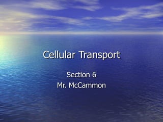 Cellular Transport Section 6 Mr. McCammon 