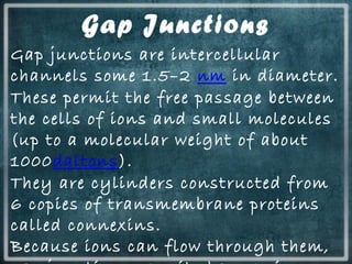 Gap Junctions
Gap junctions are intercellular
channels some 1.5–2 nm in diameter.
These permit the free passage between
the cells of ions and small molecules
(up to a molecular weight of about
1000daltons).
They are cylinders constructed from
6 copies of transmembrane proteins
called connexins.
Because ions can flow through them,
 