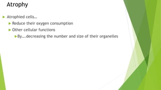 Cellular Adaptation.pptx