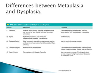 cellular adaptation physiological changes .pptx
