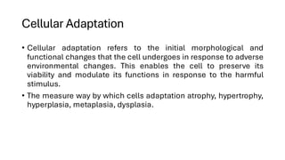 cellular Adaptation important in nursing | PDF