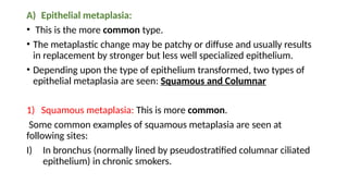 Cellular adaptation features and examples | PPTX