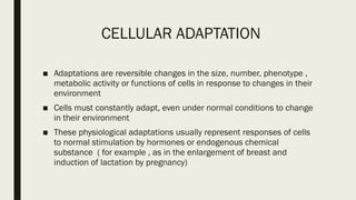 CELLULAR ADAPTATION PATHOLOGY PPT FOR RESIDENTS | PPTX