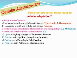 “Persistent pre-lethal stress leads to
cellular adaptation”
1-Adaptation of growth.
a) Increased growth and cellular activity e. g. Hypertrophy & Hyperplasia
b) Decreased growth and cellular activity e.g. Atrophy.
c-Disturbances of cellular differentiation and morphology e.g. Metaplasia
2-Intra and Extra cellular accumulations e. g.
a) Lipids as in fatty change & Cholesterol deposits.
b) Proteins as in Hyaline change& Amyloidosis.
c) Calcium as in Pathologic Calcification
d) Pigments as in Pathologic pigmentation.
 