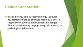 Cellular Adaptation 3rd semester BSN.pptx