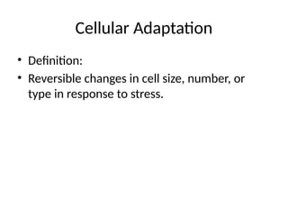 Comprehensive Overview of Cellular Adaptation and Aberrant Growth ...