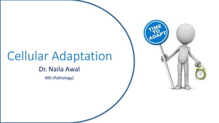 Cellular Adaptation
Dr. Naila Awal
MD (Pathology)
 