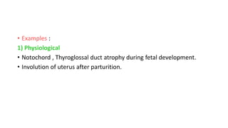 • Examples :
1) Physiological
• Notochord , Thyroglossal duct atrophy during fetal development.
• Involution of uterus after parturition.
 