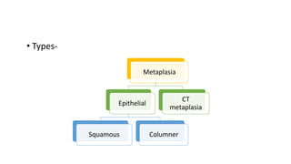 • Types-
Metaplasia
Epithelial
Squamous Columner
CT
metaplasia
 