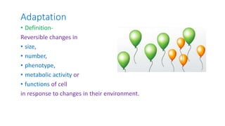 Adaptation
• Definition-
Reversible changes in
• size,
• number,
• phenotype,
• metabolic activity or
• functions of cell
in response to changes in their environment.
 