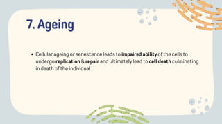 7. Ageing
Cellular ageing or senescence leads to impaired ability of the cells to
undergo replication & repair and ultimately lead to cell death culminating
in death of the individual.
 