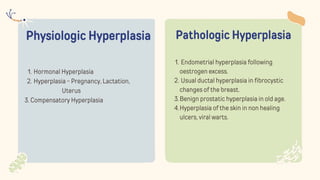 Physiologic Hyperplasia
Hormonal Hyperplasia
1.
Hyperplasia - Pregnancy, Lactation,
2.
Uterus
3. Compensatory Hyperplasia
Pathologic Hyperplasia
Endometrial hyperplasia following
oestrogen excess.
1.
Usual ductal hyperplasia in fibrocystic
changes of the breast.
2.
Benign prostatic hyperplasia in old age.
3.
Hyperplasia of the skin in non healing
ulcers, viral warts.
4.
 