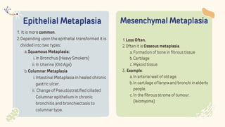 Epithelial Metaplasia
It is more common.
1.
Depending upon the epithelial transformed it is
divided into two types:
2.
Squamous Metaplasia:
a.
In Bronchus (Heavy Smokers)
i.
In Uterine (Old Age)
ii.
Columnar Metaplasia
b.
Intestinal Metaplasia in healed chronic
gastric ulcer.
i.
Change of Pseudostratified ciliated
Columnar epithelium in chronic
bronchitis and bronchiectasis to
columnar type.
ii.
Mesenchymal Metaplasia
Less Often.
1.
Often it is Osseous metaplasia.
2.
Formation of bone in fibrous tissue
a.
Cartilage
b.
Myxoid tissue
c.
Example:
3.
In arterial wall of old age.
a.
In cartilage of larynx and bronchi in elderly
people.
b.
In the fibrous stroma of tumour.
(leiomyoma)
c.
 