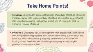 Take Home Points!
Metaplasia is defined as a reversible change of one type of mature epithelial
or mesenchymal cells to another type of mature epithelial or mesenchymal
cells, usually in response to abnormal stimuli and often reverts back to
normal on removal of stimuli
Dysplasia is Disordered cellular development often preceded or accompanied
with metaplasia and hyperplasia; most common sites being uterine cervix and
bronchus. Mild and moderate grades may be reversible on withdrawal of
inciting stimuli. Persistence of stimuli may cause progression to higher
gradesor to carcinoma In Situ.
 