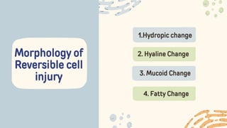 Morphology of
Reversible cell
injury
1.Hydropic change
2. Hyaline Change
3. Mucoid Change
4. Fatty Change
 