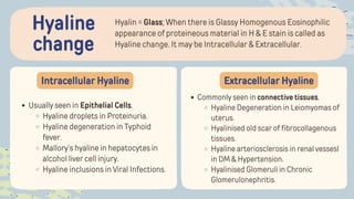 Hyalin = Glass; When there is Glassy Homogenous Eosinophilic
appearance of proteineous material in H & E stain is called as
Hyaline change. It may be Intracellular & Extracellular.
Hyaline
change
Intracellular Hyaline Extracellular Hyaline
Usually seen in Epithelial Cells.
Hyaline droplets in Proteinuria.
Hyaline degeneration in Typhoid
fever.
Mallory’s hyaline in hepatocytes in
alcohol liver cell injury.
Hyaline inclusions in Viral Infections.
Commonly seen in connective tissues.
Hyaline Degeneration in Leiomyomas of
uterus.
Hyalinised old scar of fibrocollagenous
tissues.
Hyaline arteriosclerosis in renal vessesl
in DM & Hypertension.
Hyalinised Glomeruli in Chronic
Glomerulonephritis.
 