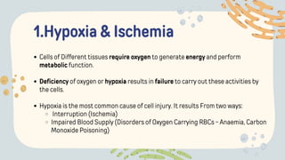 1.Hypoxia & Ischemia
Cells of Different tissues require oxygen to generate energy and perform
metabolic function.
Deficiency of oxygen or hypoxia results in failure to carry out these activities by
the cells.
Hypoxia is the most common cause of cell injury. It results From two ways:
Interruption (Ischemia)
Impaired Blood Supply (Disorders of Oxygen Carrying RBCs - Anaemia, Carbon
Monoxide Poisoning)
 