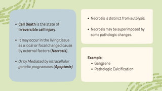 Cell Death is the state of
Irreversible cell injury.
It may occur in the living tissue
as a local or focal changed cause
by external factors (Necrosis).
Or by Mediated by intracellular
genetic programmes (Apoptosis)
Necrosis is distinct from autolysis.
Necrosis may be superimposed by
some pathologic changes.
Example :
Gangrene
Pathologic Calcification
 