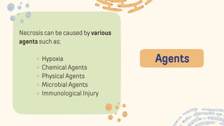 Agents
Necrosis can be caused by various
agents such as;
Hypoxia
Chemical Agents
Physical Agents
Microbial Agents
Immunological Injury
 