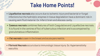Take Home Points!
Liquefactive necrosis also occurs due to ischemic injury and bacterial or fungal
infections but the hydrolytic enzymes in tissue degradation have a dominant role in
causing semi fluid material. Ex: Infarct brain and abscess cavity.
Caseous necrosis combines features of both Coagulative and Liquefactive necrosis.
It is found in the centres of foci of tuberculous infection and is accompained by
granulomatous inflammation.
Fat necrosis is seen in the breast and acute pancreatitis.
Fibrinoid Necrosis occurs due to immunologic tissue injury. Ex: Hypersensitivity
vasculitis.
 