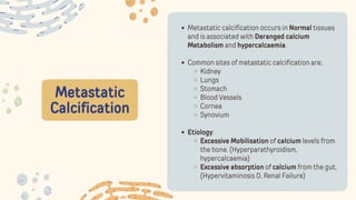 Metastatic
Calcification
Metastatic calcification occurs in Normal tissues
and is associated with Deranged calcium
Metabolism and hypercalcaemia.
Common sites of metastatic calcification are;
Kidney
Lungs
Stomach
Blood Vessels
Cornea
Synovium
Etiology:
Excessive Mobilisation of calcium levels from
the bone. (Hyperparathyroidism,
hypercalcaemia)
Excessive absorption of calcium from the gut.
(Hypervitaminosis D, Renal Failure)
 