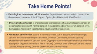 Take Home Points!
Pathologic or Heterotopic calcification is a deposition of calcium salts in tissue other
then osteoid or enamel. It is of 2 types : Dystrophic & Metastatic Calcification.
Dystrophic Calcification is characterised by Deposition of calcium slats in necrotic or
degenerated tissue with normal calcium metabolism and normal serum calcium level.
Ex: Caseous necrosis in tuberculosis, Advances Atherosclerosis.
Metastatic calicification occurs in normal tissues, but in associated with deranged
calcium metabolism and hypercalcaemia. Common Causes are; Lesions causing
excessive mobilisation of calcium bones (Hyperparathyroidism) and excessive intestinal
absorption (Hypervitaminosis D, Renal Failure). Common sites of Deposition are : Renal
tubules, Alveolar Lining, Cornea, Gastric Mucosa, Blood Vessel
 