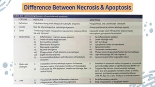 Difference Between Necrosis & Apoptosis
 