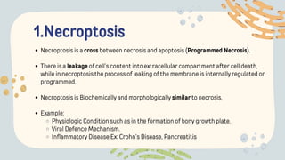 1.Necroptosis
Necroptosis is a cross between necrosis and apoptosis (Programmed Necrosis).
There is a leakage of cell’s content into extracellular compartment after cell death,
while in necroptosis the process of leaking of the membrane is internally regulated or
programmed.
Necroptosis is Biochemically and morphologically similar to necrosis.
Example:
Physiologic Condition such as in the formation of bony growth plate.
Viral Defence Mechanism.
Inflammatory Disease Ex: Crohn’s Disease, Pancreatitis
 